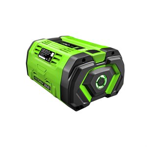 BATTERIE EGO 12.0AH