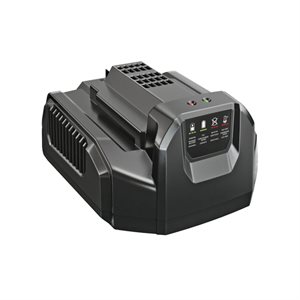 CHARGEUR EGO 210W STANDARD