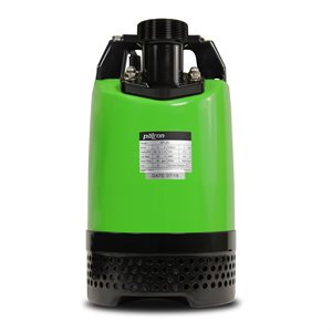 SP20 POMPE À EAU SUBMERSIBLE 2'' 63GPM